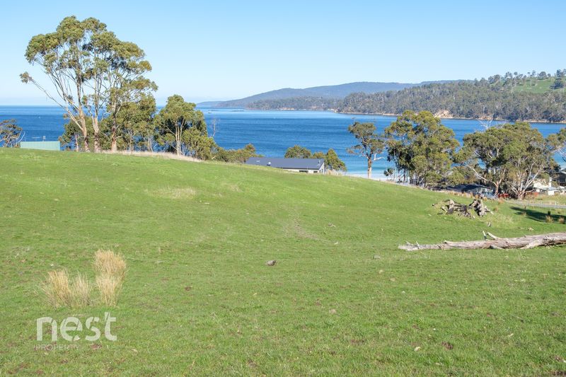 69 Dunn Drive, Surveyors Bay TAS 7116, Image 1