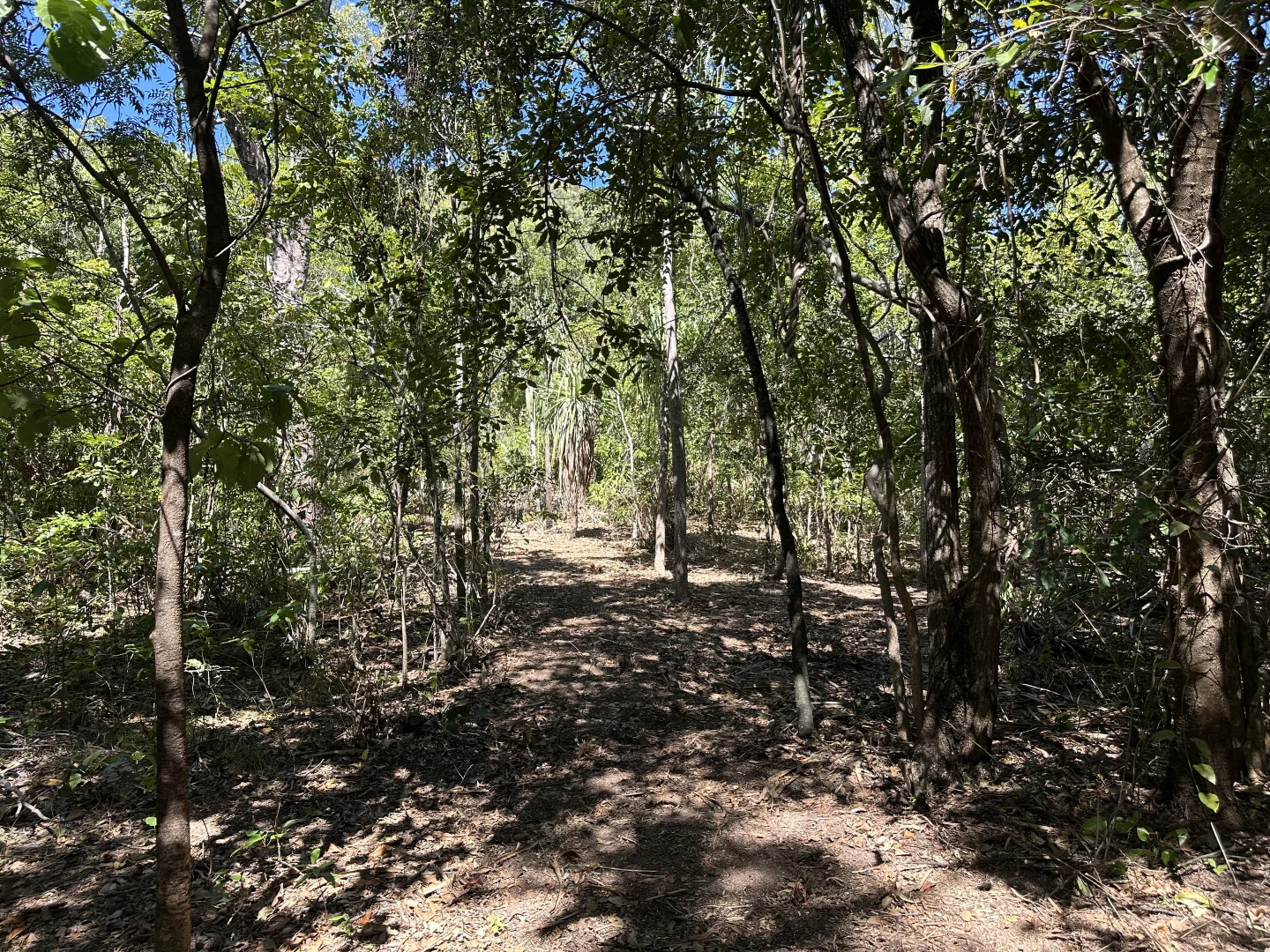 Image 9