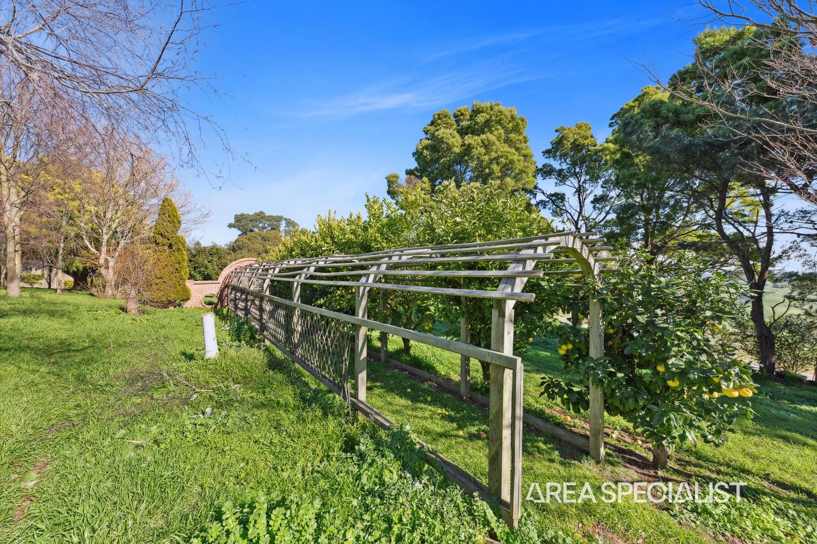 Additional image 40 of 300 Grand Ridge Road, Seaview VIC 3821