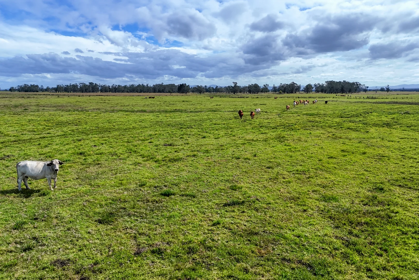 Additional image 8 of Two Hills Lane, Clybucca NSW 2440