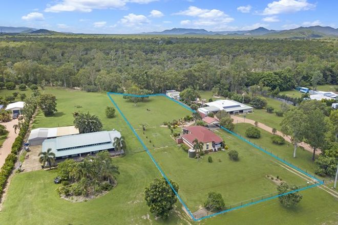 Picture of 70 Toolakea Beach Road, BLUEWATER QLD 4818