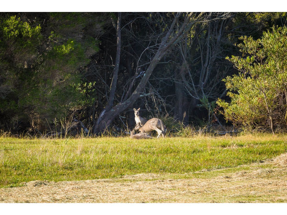 26 Bournda Circuit, Tura Beach NSW 2548, Image 2