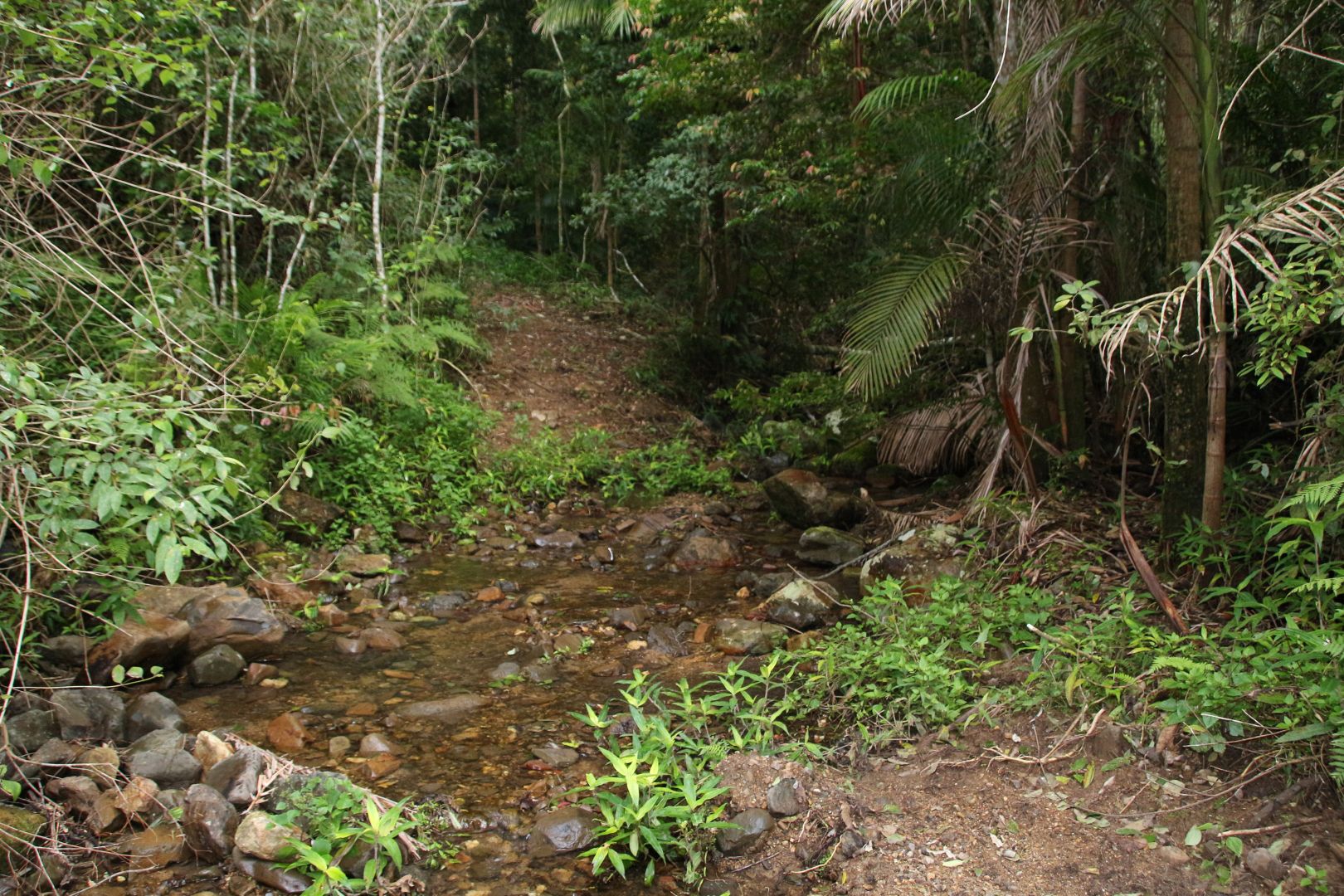 Killabakh NSW 2429, Image 1