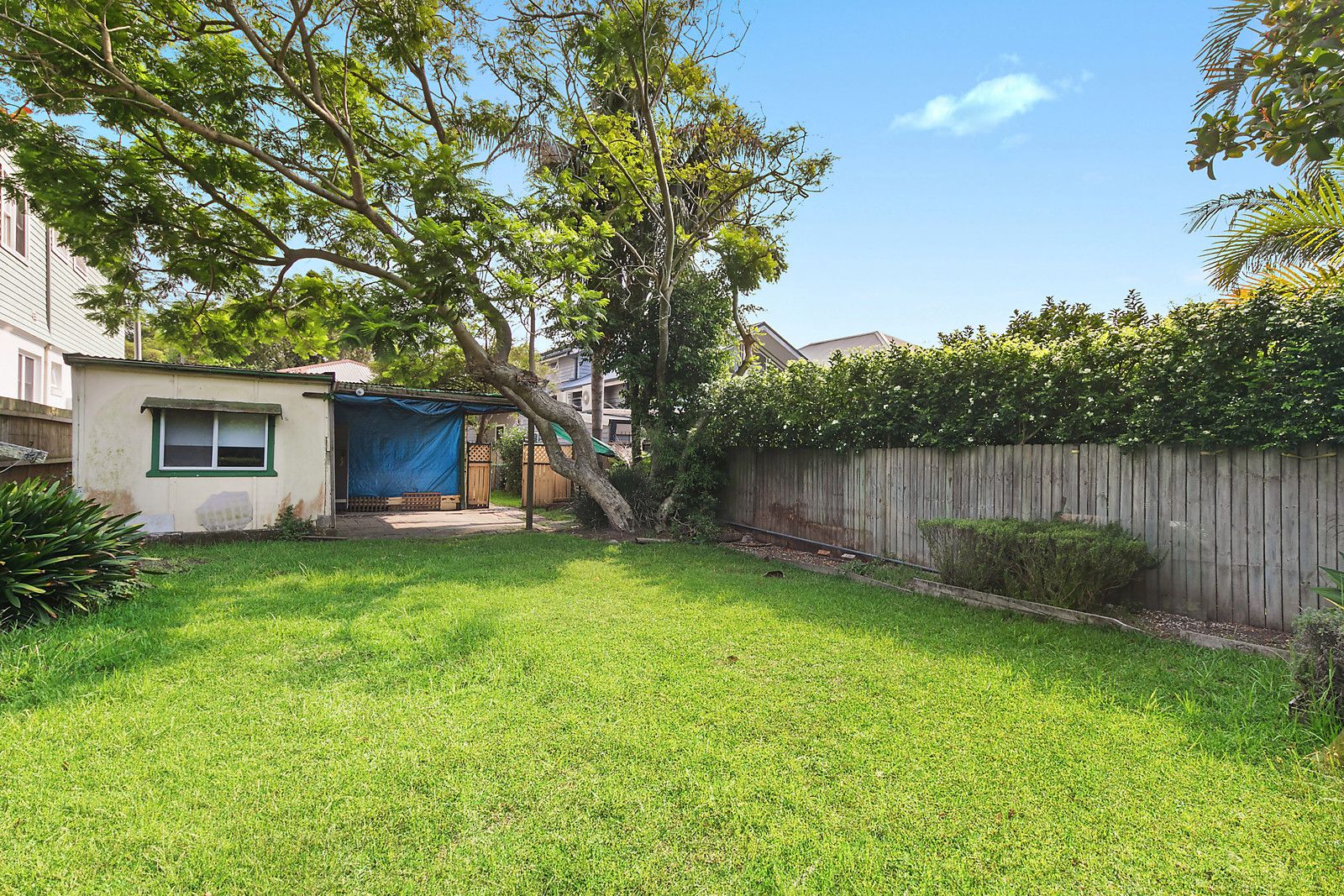 48 Johnson Street, Freshwater NSW 2096, Image 2