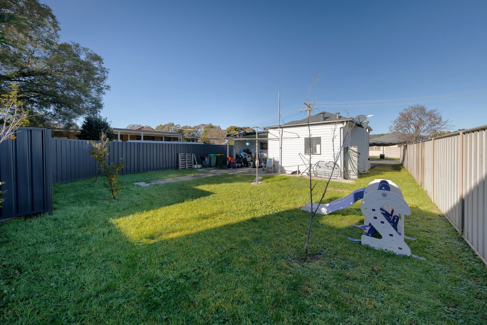 Image 7