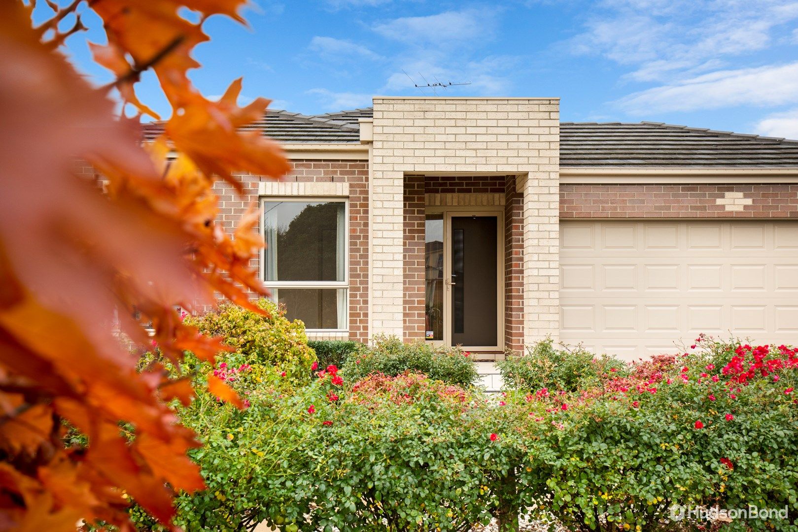 55 Maggs Street, Doncaster East VIC 3109, Image 0