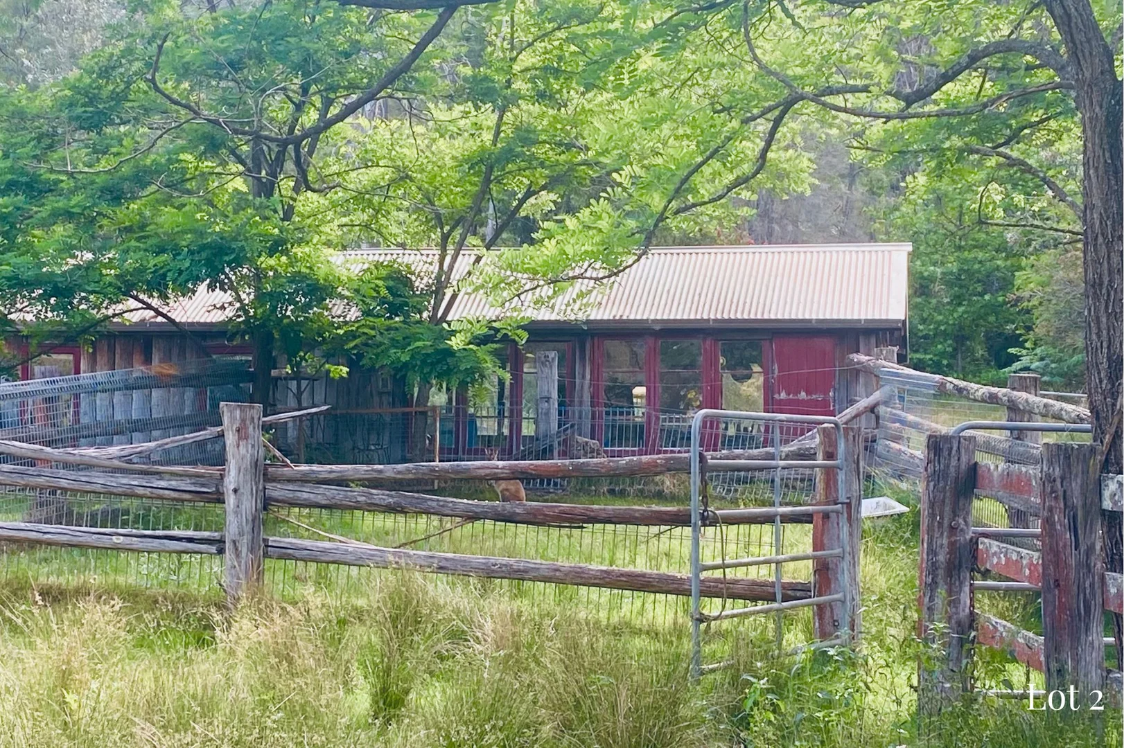 Image 7