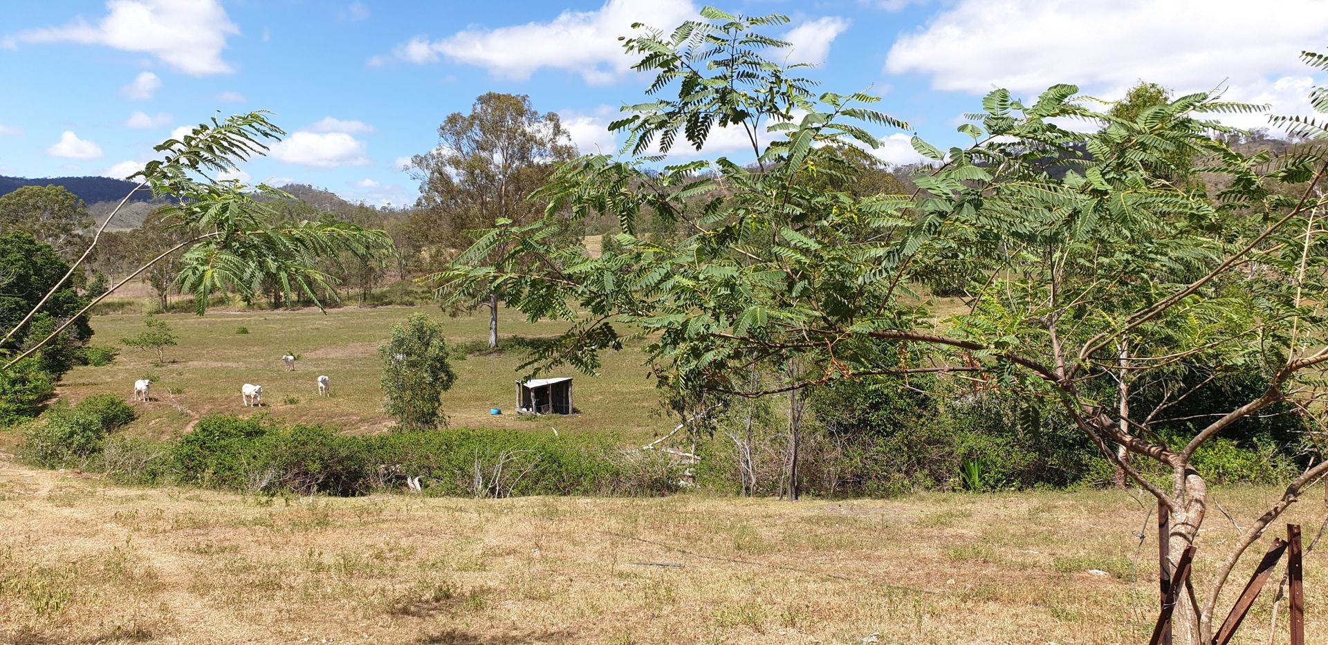 Lot Lot 1 MPH40560/3148 Gin Gin Mount Perry Road, Boolboonda QLD 4671, Image 1