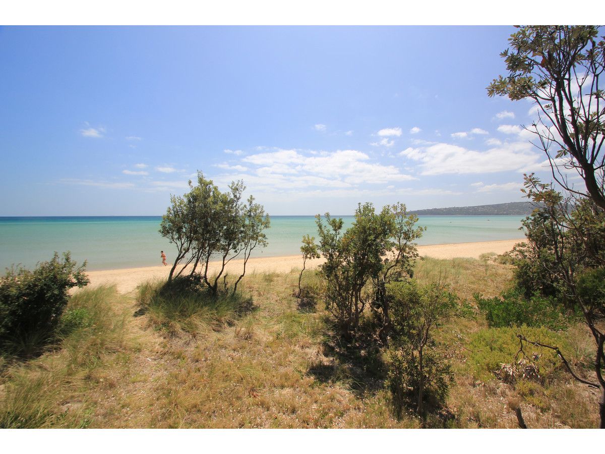 Boatshed 11 Dromana Foreshore, Dromana VIC 3936, Image 2