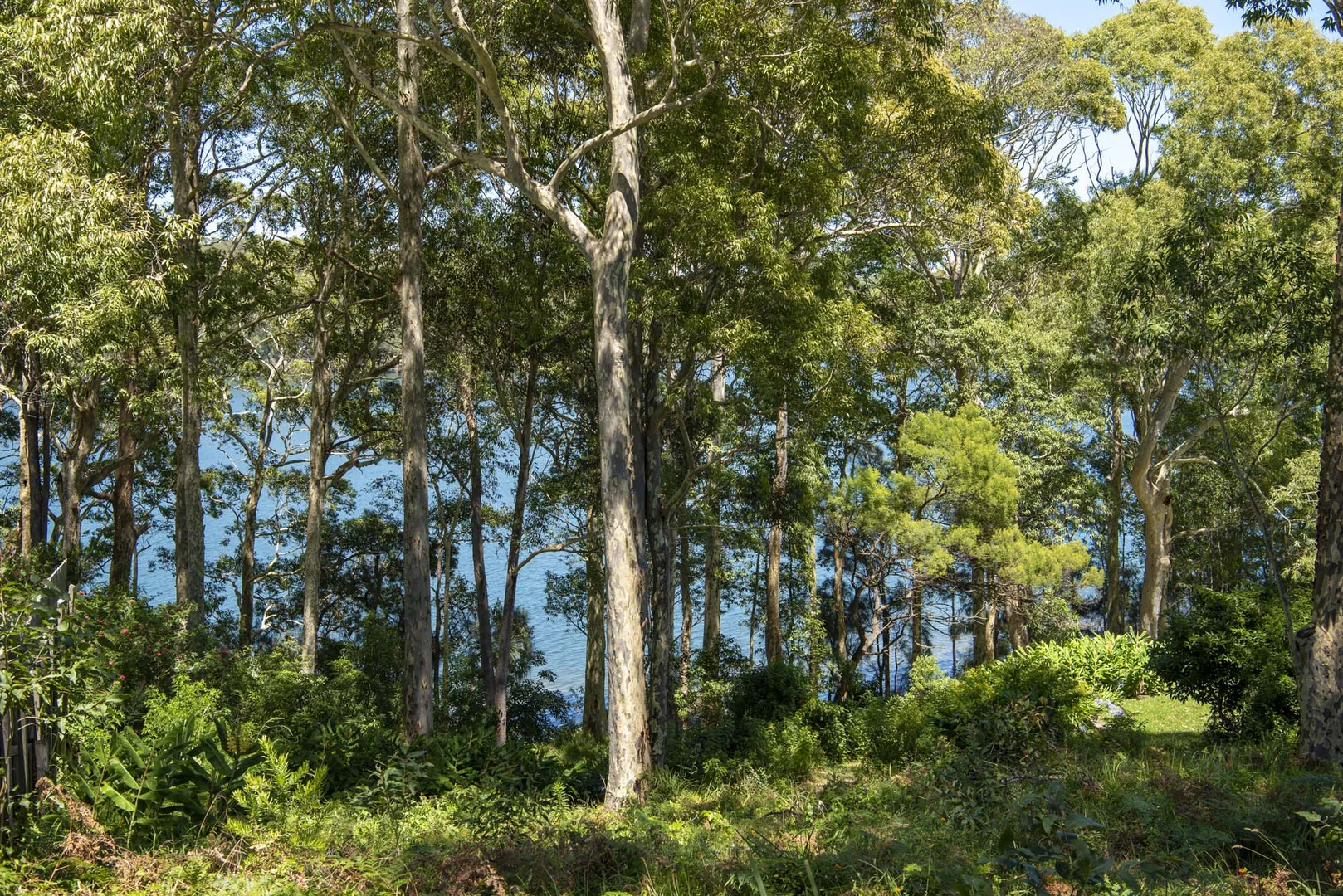 Additional image 8 of 58 Kings Point Drive, Kings Point NSW 2539