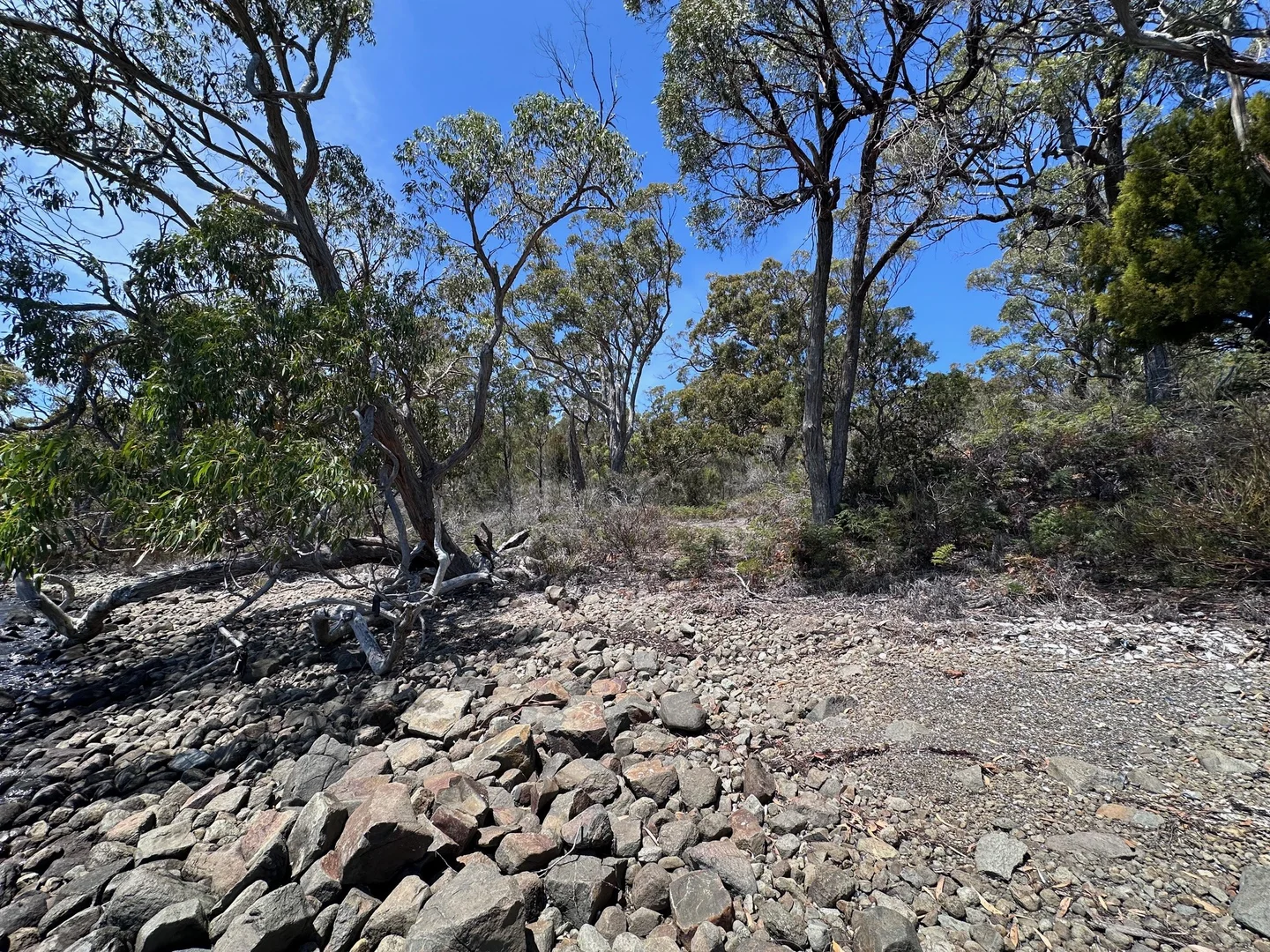 Image 47