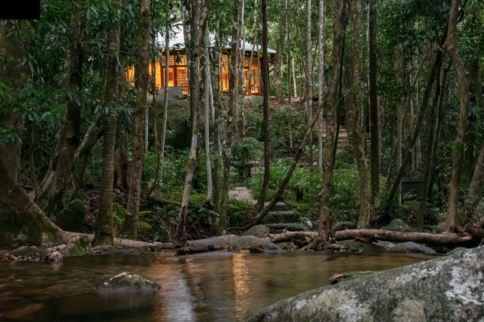 38 Stonewood Road, Daintree QLD 4873 Domain