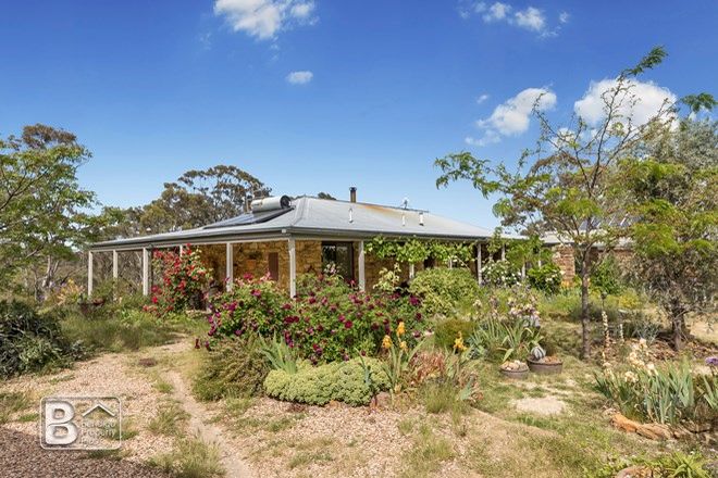 Picture of 297 White Gum Road, BARKERS CREEK VIC 3451