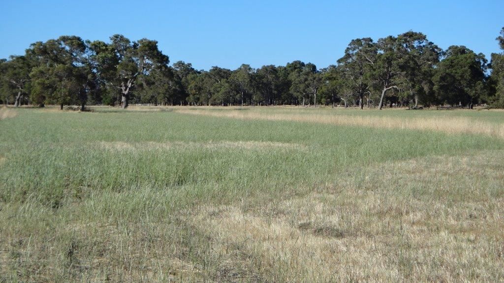 L63 & 64 Campbell Rd, Benger WA 6223, Image 0