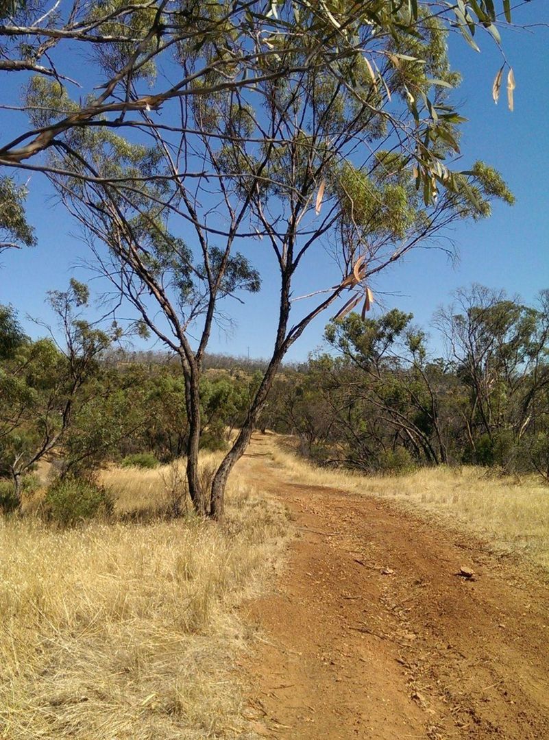 Lot 694 Kleinigs Road, Stone Hut SA 5480, Image 1