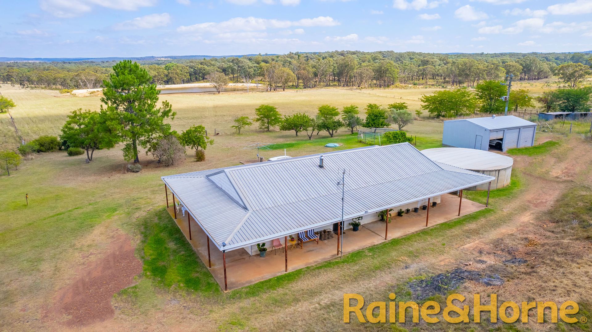 558 Patrick Road, Dunedoo NSW 2844, Image 1