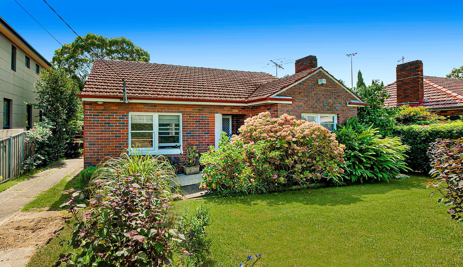 6 Curtin Avenue, Abbotsford NSW 2046 House For Rent 1,100 Domain