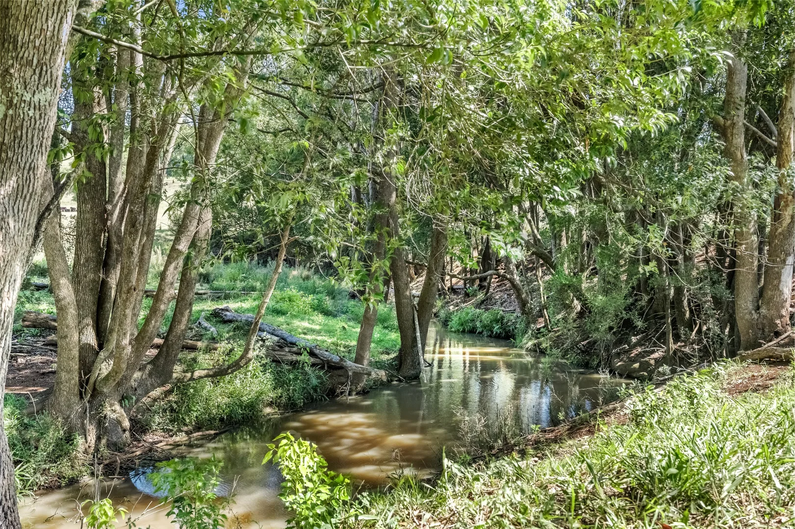 Additional image 26 of 334 James Gibson Road, Clunes NSW 2480