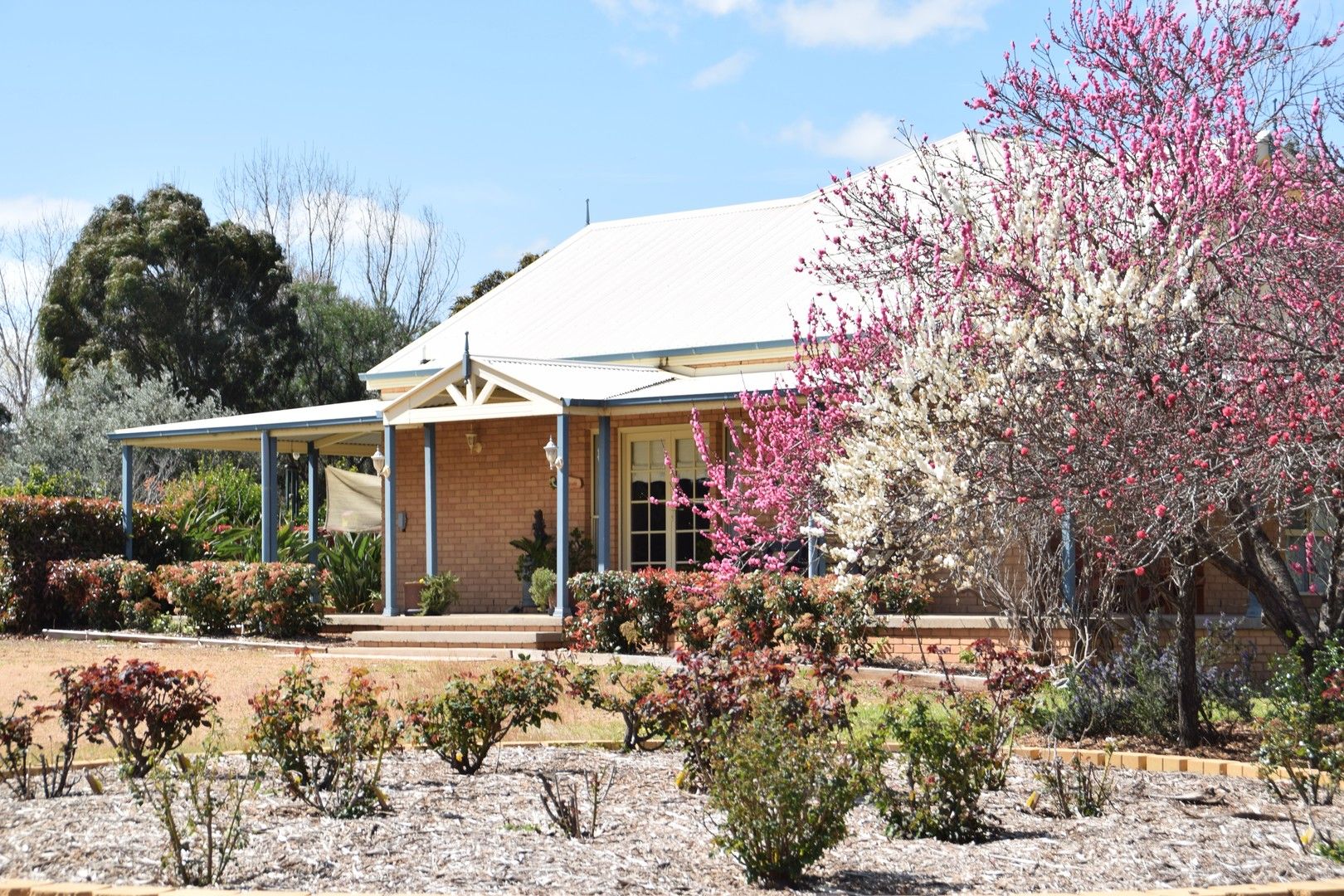 3 bedrooms House in 1R Beemery Road DUBBO NSW, 2830