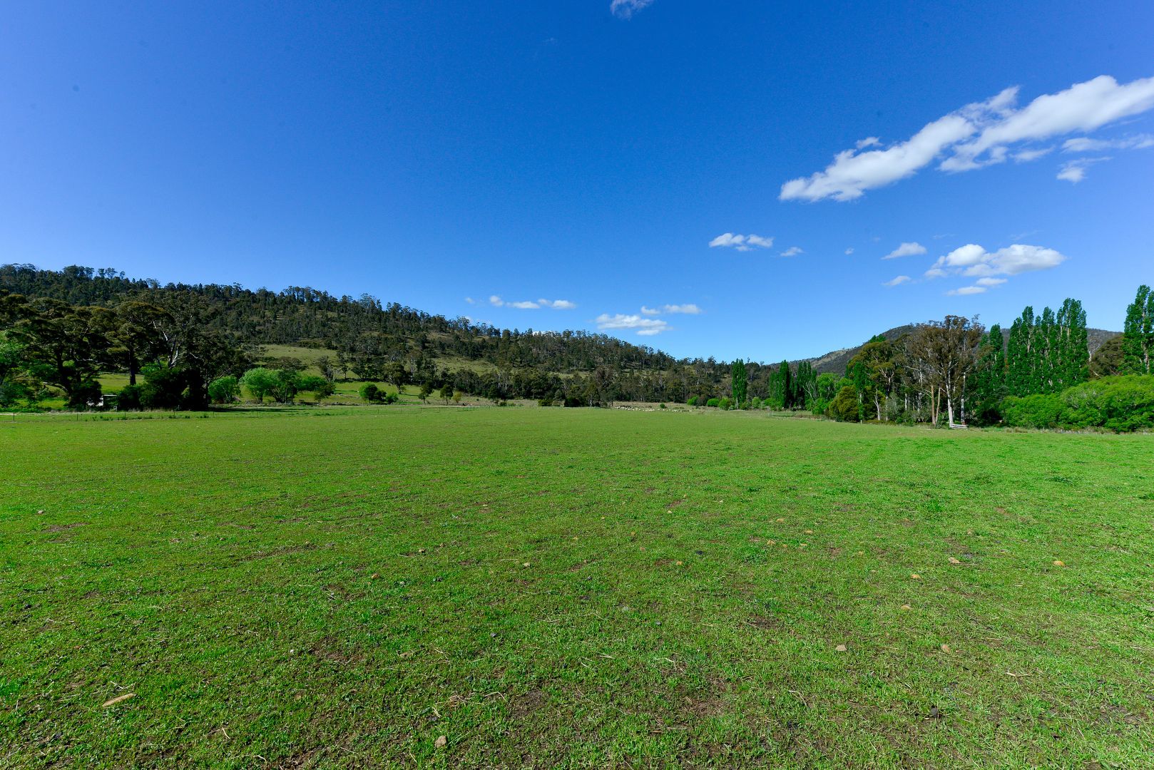 1160 Ellendale Road, Ellendale TAS 7140, Image 2