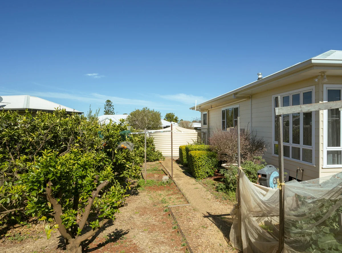 Image 15