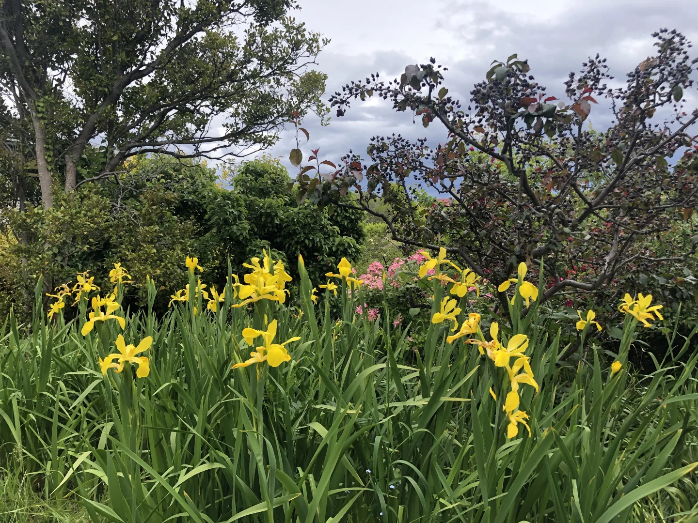 Image 20
