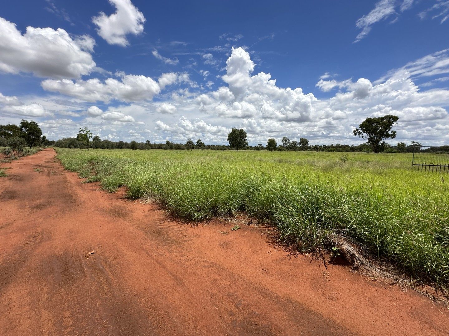 199 Albert Park, Charleville QLD 4470 House for Sale 168,000