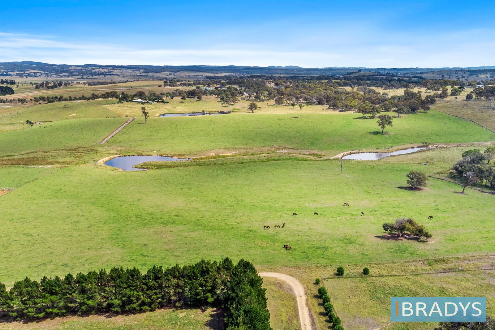 4348 Gundaroo Road, Gundaroo NSW 2620, Image 2