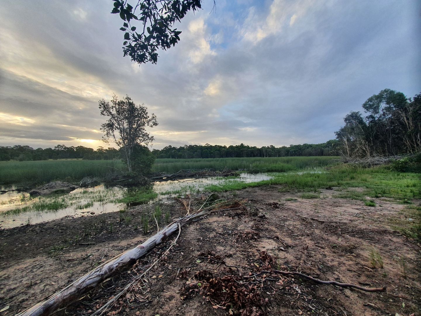 1415 Coast, Baffle Creek QLD 4674 House for Sale 520,000