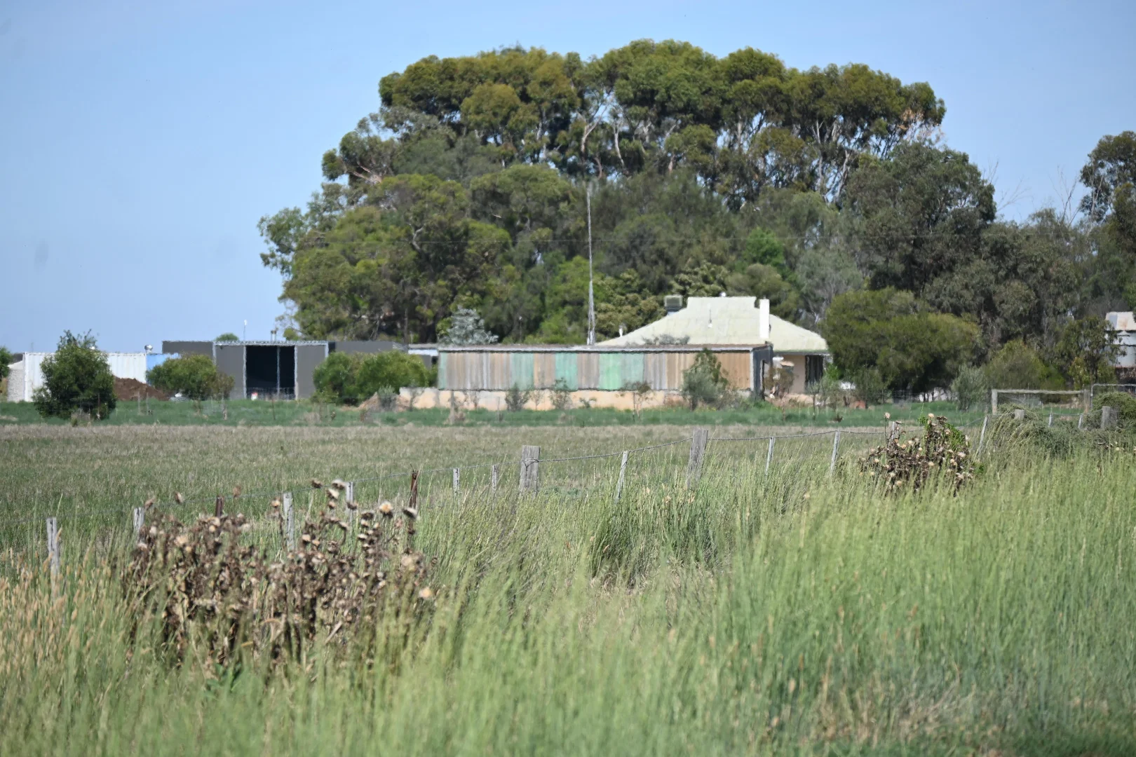 Image 30