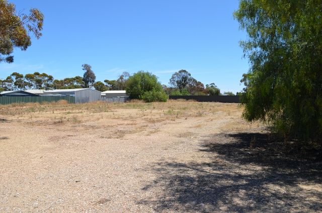 Lot 169 Main Street, OWEN SA 5460, Image 0