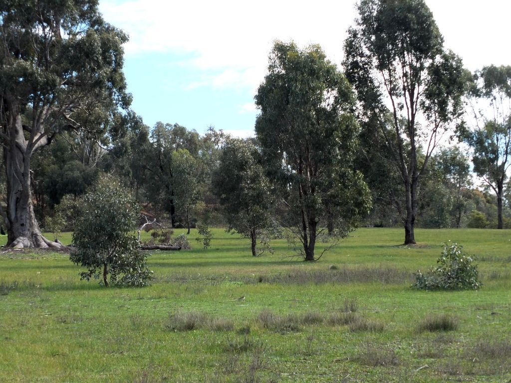 Lot 3 Landsborough Road, Navarre VIC 3384, Image 1