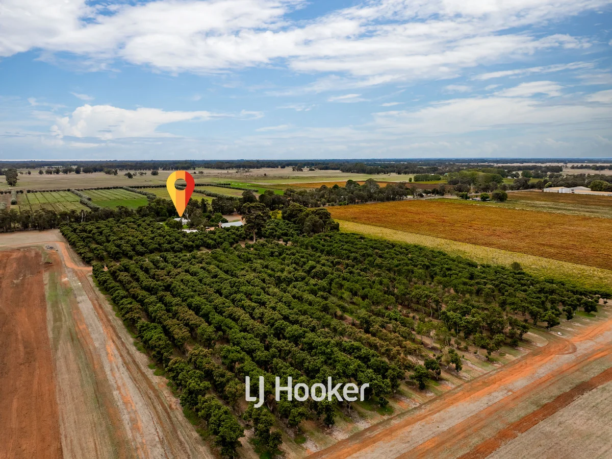 Additional image 12 of 308 Payne Road, Kaloorup WA 6280