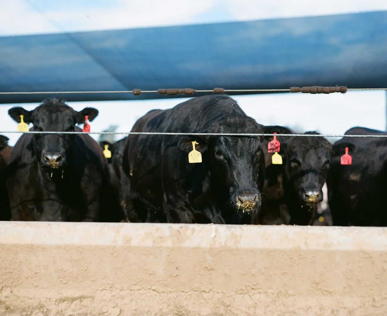 Additional image 12 of Proston QLD 4613