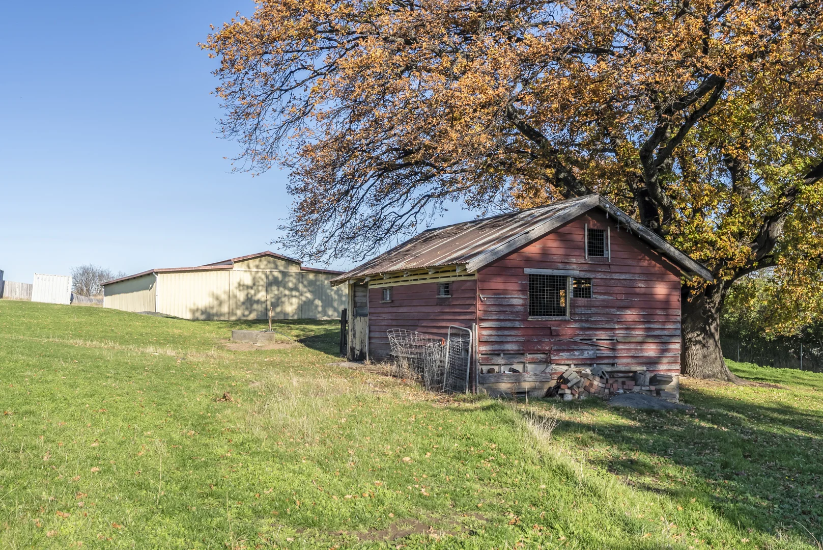 Image 10