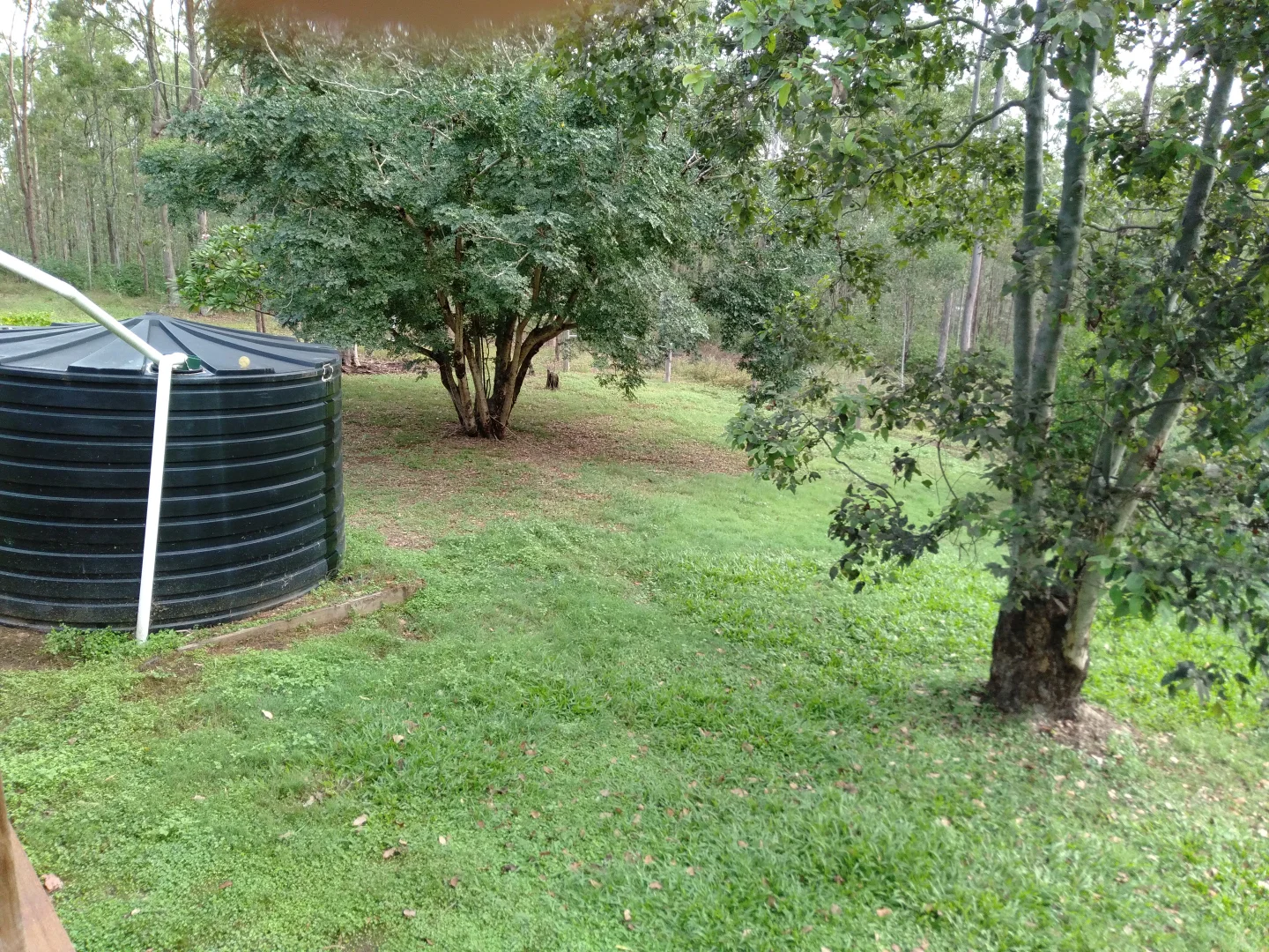 Image 9