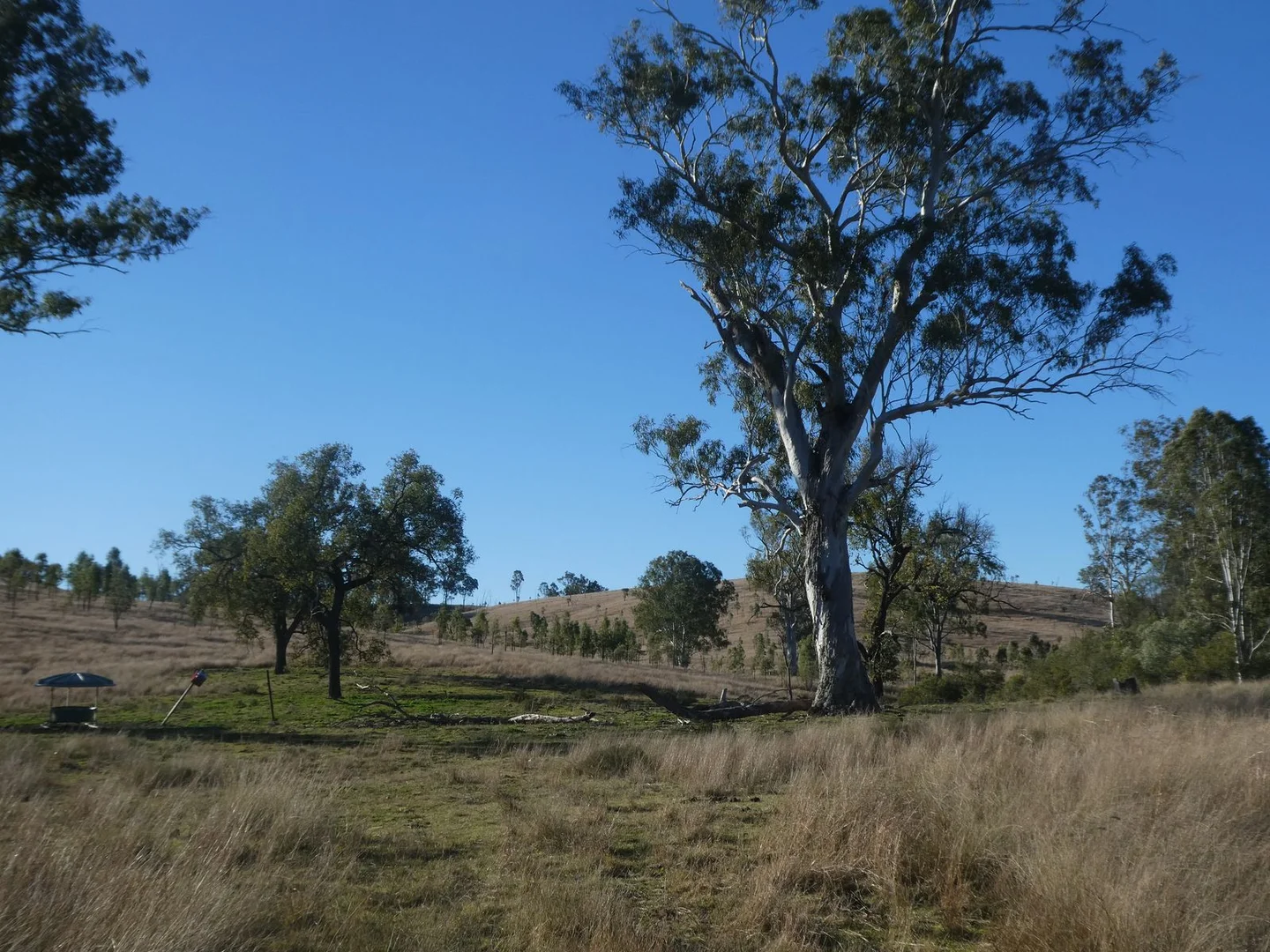Image 11