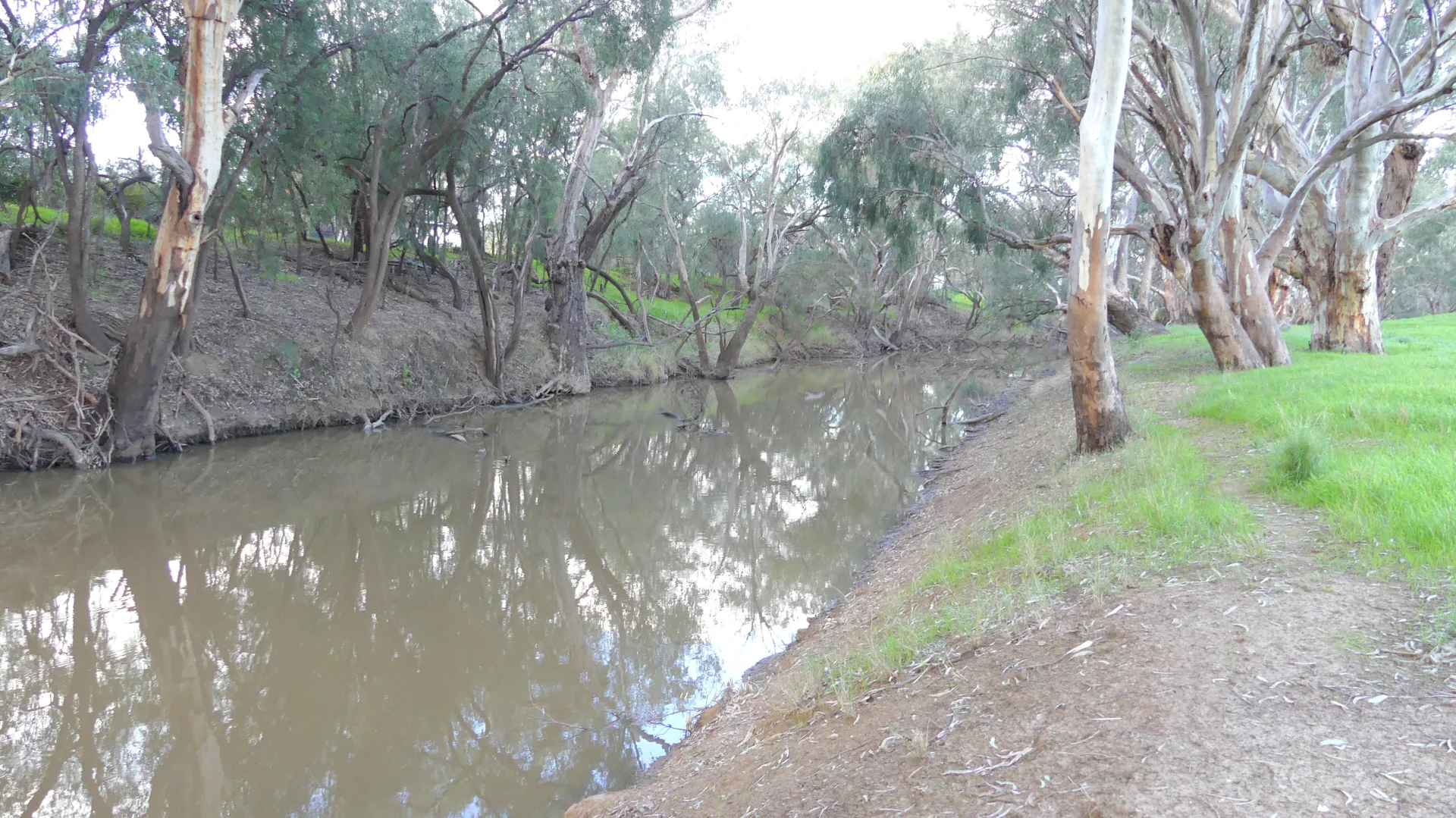 Warren NSW 2824 photo 2