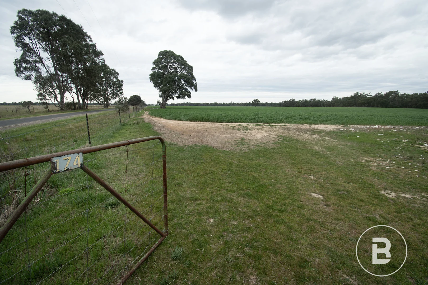 Image 17