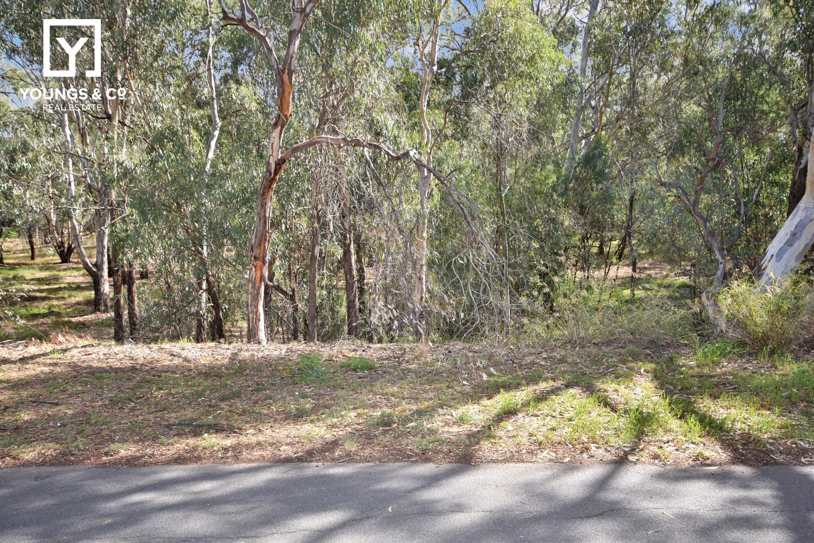 Additional image 3 of 231 The Boulevard, Shepparton VIC 3630