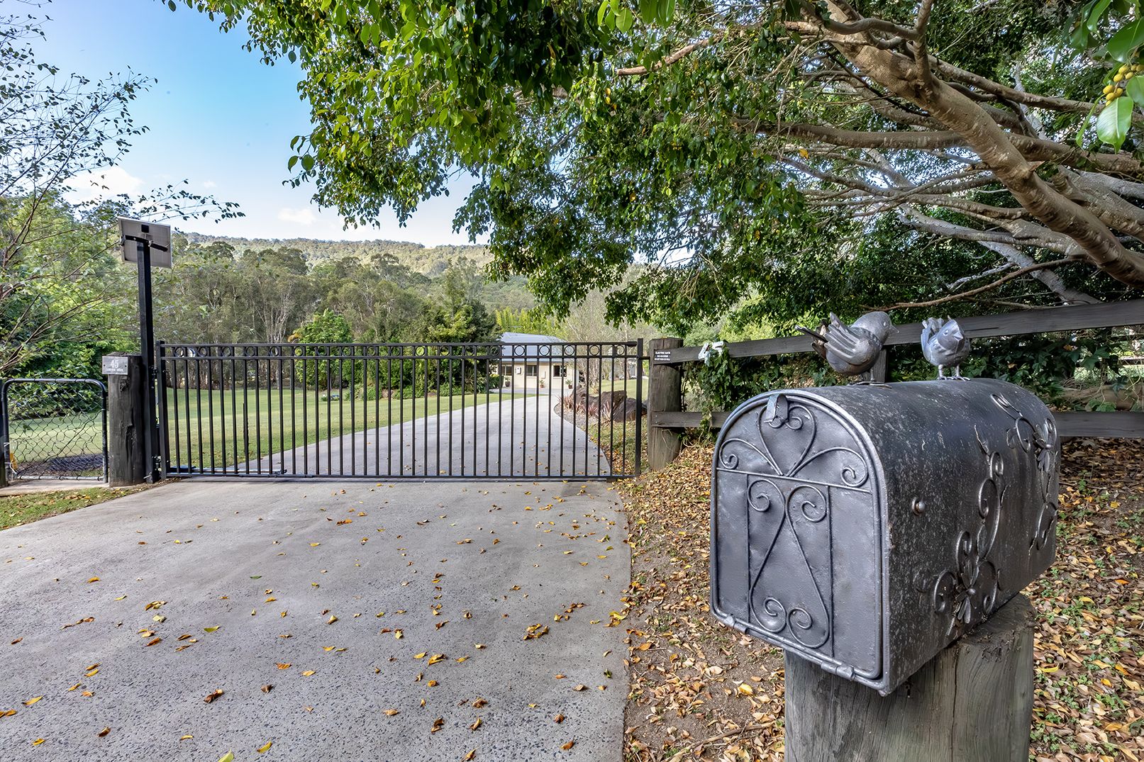 45-61 Camphor Drive, Boyland QLD 4275, Image 0