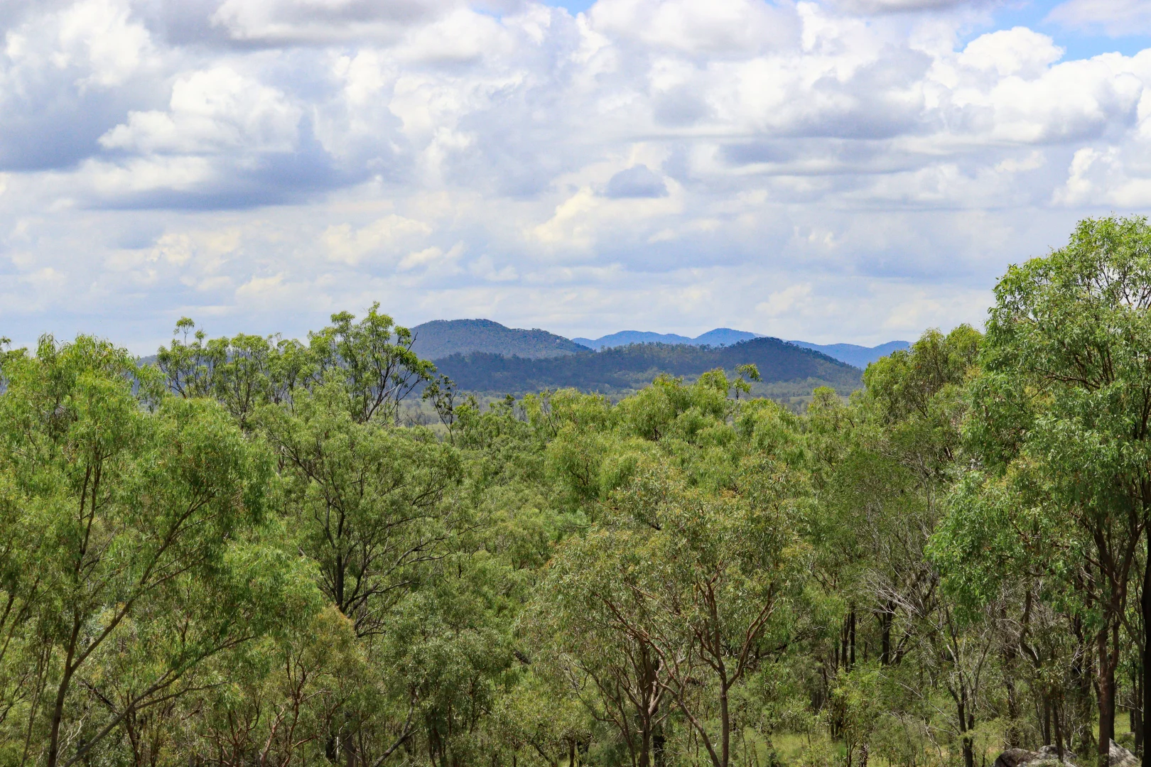 Additional image 23 of 8362 Dawson Highway, Dumgree QLD 4715