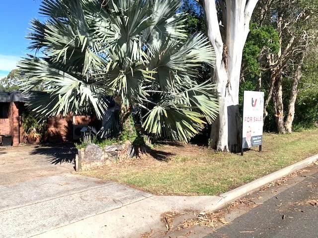 Image 12
