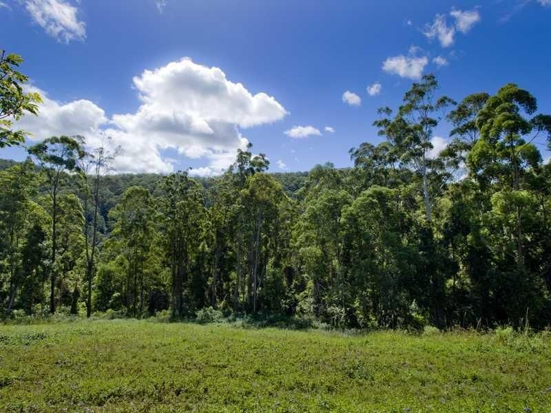 82B Kings Ridge Forest Road, CORAMBA NSW 2450, Image 1