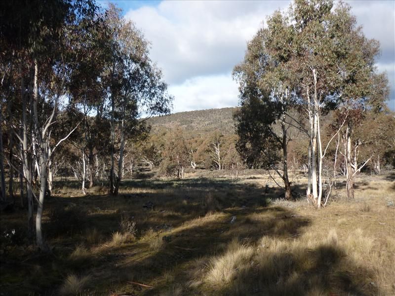 Lot 128 Ashvale Road, Adaminaby NSW 2629, Image 1