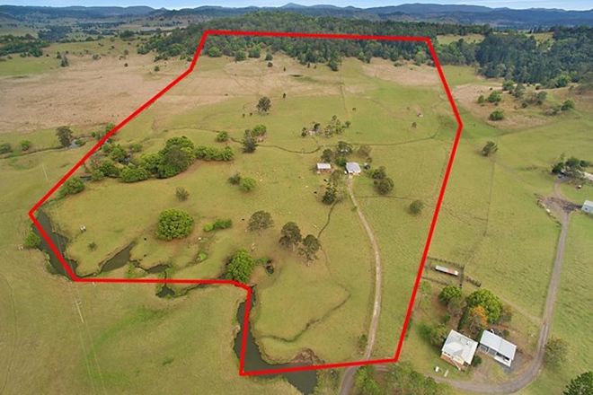 Picture of 13 Fathers Road, BOOERIE CREEK NSW 2480