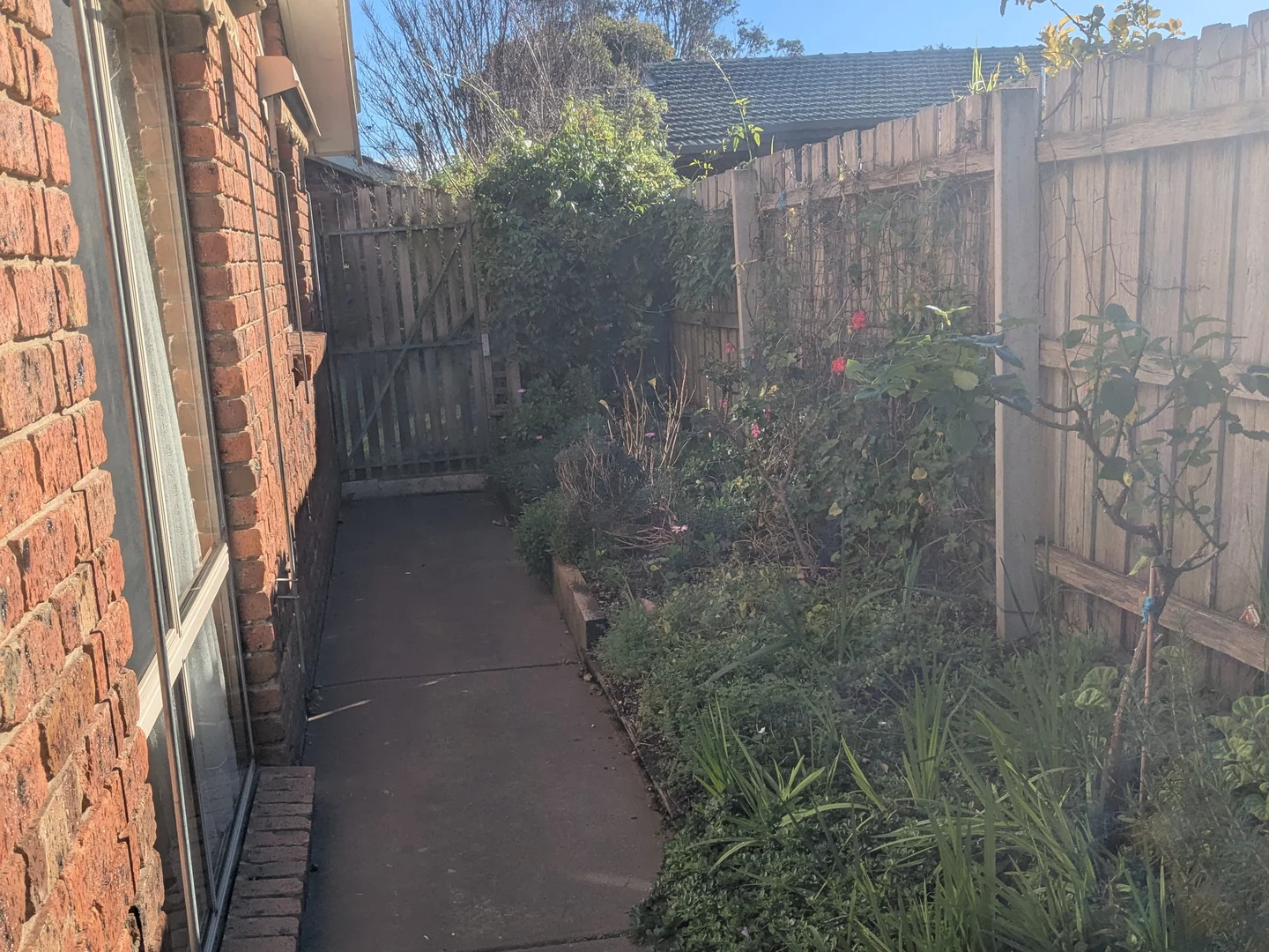 Image 13