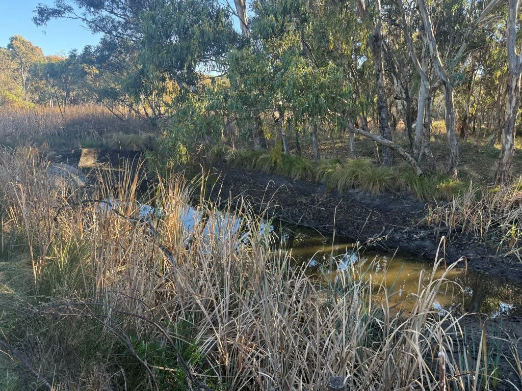 Image 11