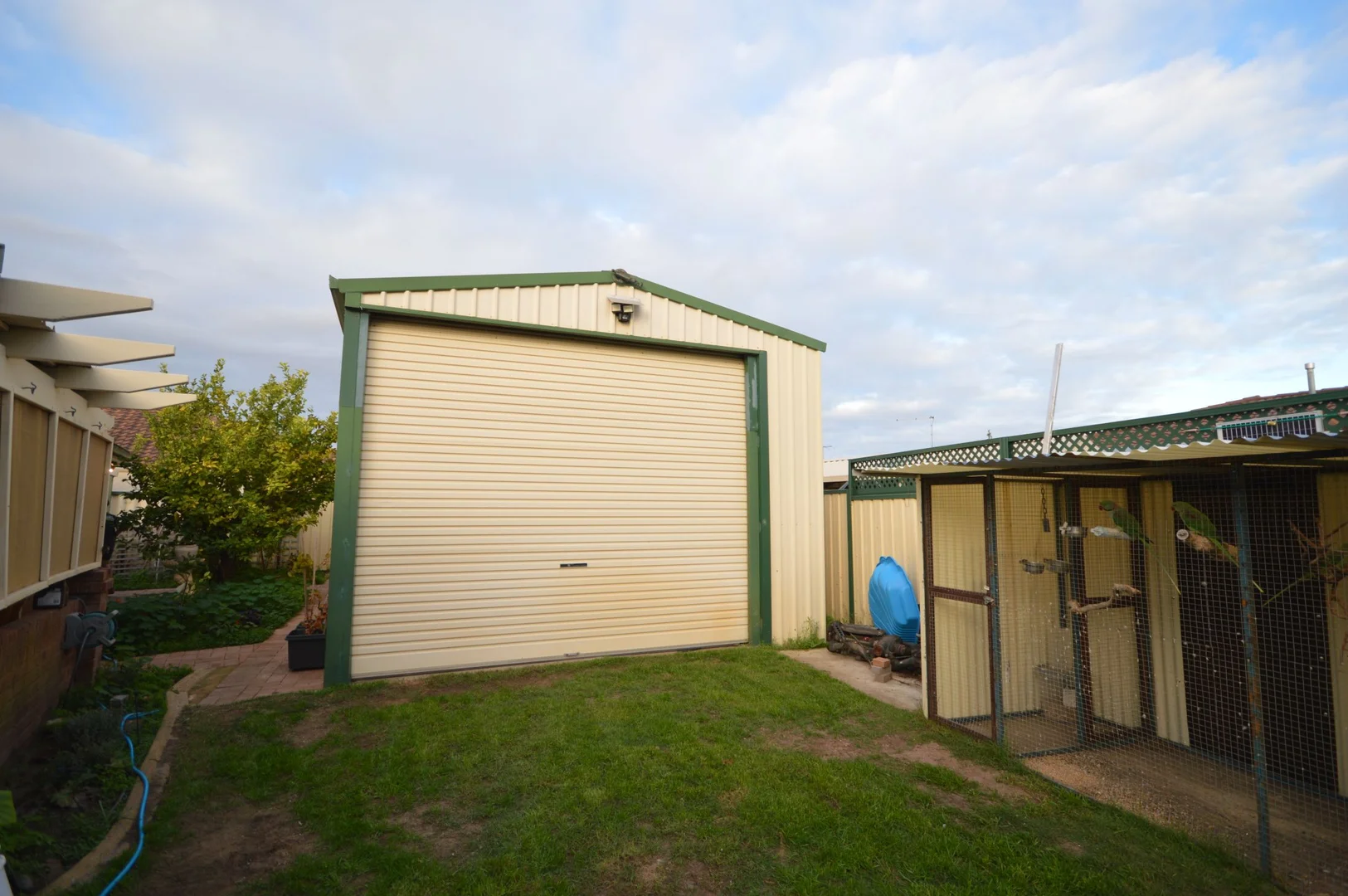 Image 15
