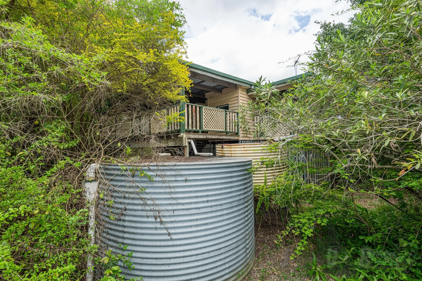 Image 11